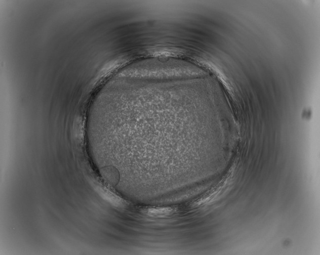 X0000099510357200805291154