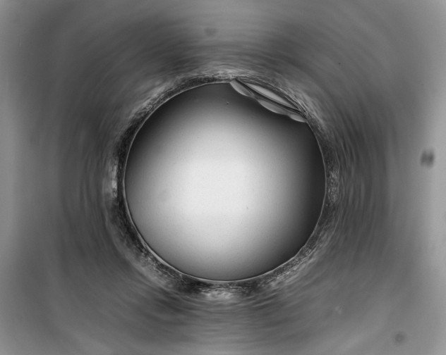 X0000099510358200805291154