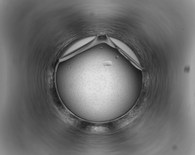 X0000099510360200805291154