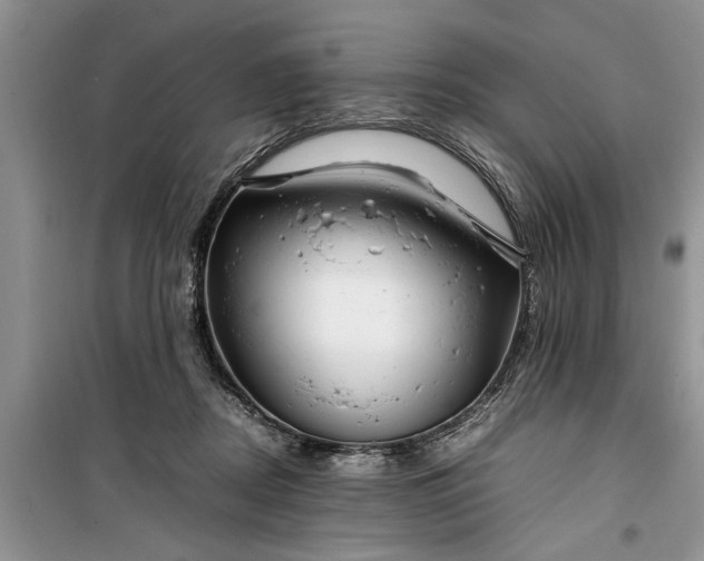 X0000099510362200805291154