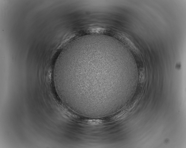 X0000099510363200805291154