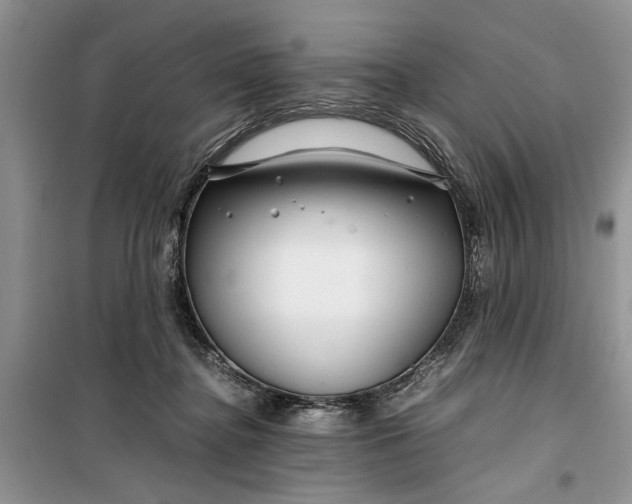 X0000099510364200805291154