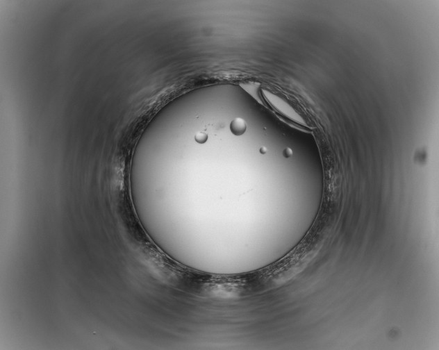 X0000099510368200805291154