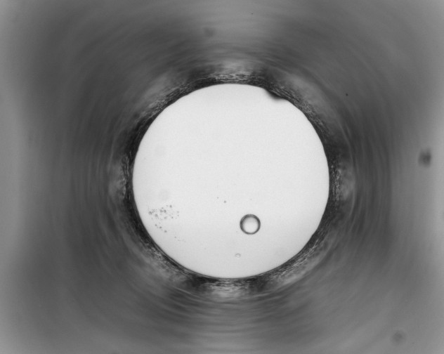 X0000099510370200805291154