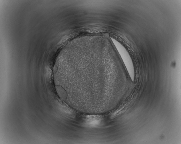 X0000099510371200805291154