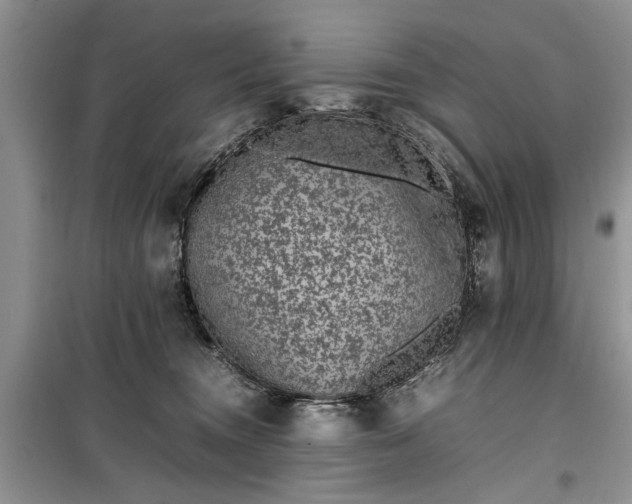 X0000099510372200805291154