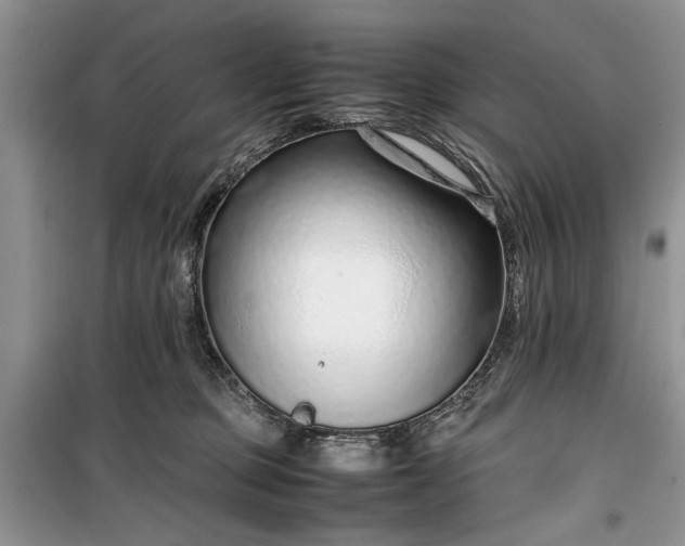 X0000099510373200805291154