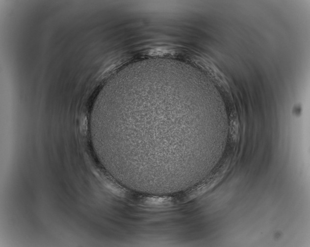 X0000099510375200805291154