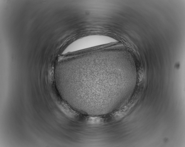 X0000099510376200805291154