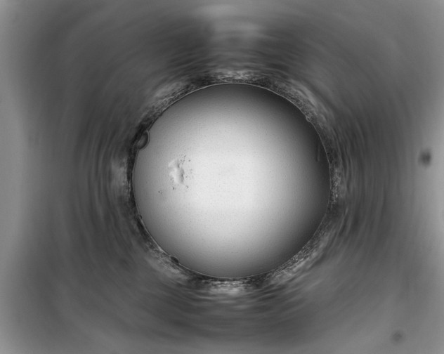 X0000099510377200805291154