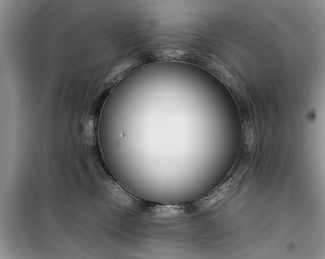 X0000099510378200805291154