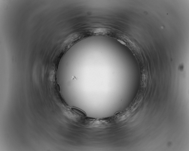 X0000099510379200805291154