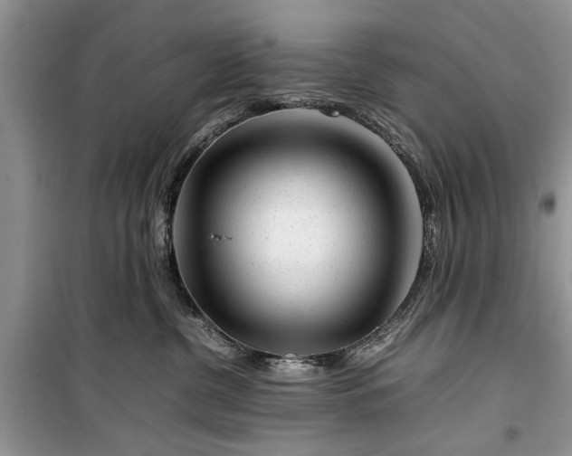 X0000099510380200805291154