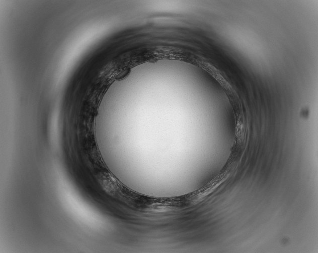 X0000099510381200805291154