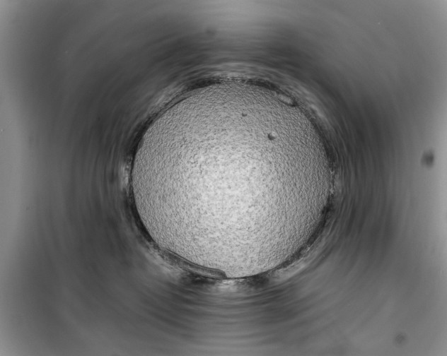 X0000099510382200805291155