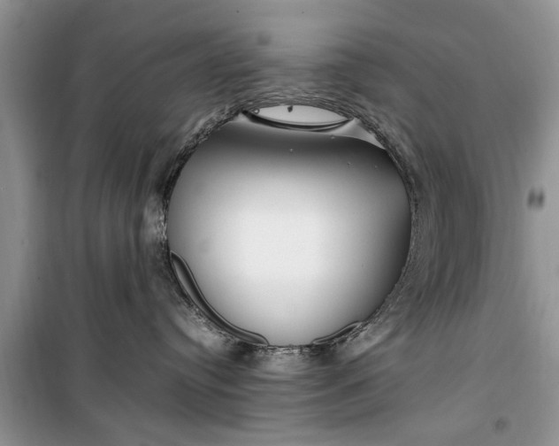 X0000099510384200805291155