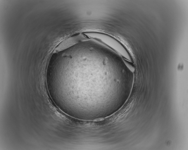 X0000099510385200805291154