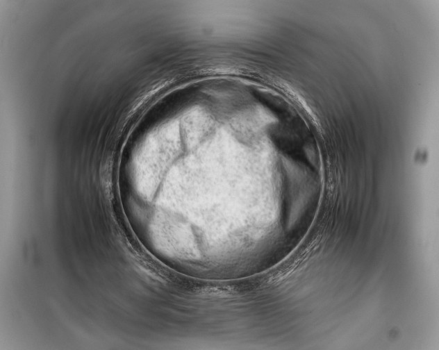 X0000099510386200805291154