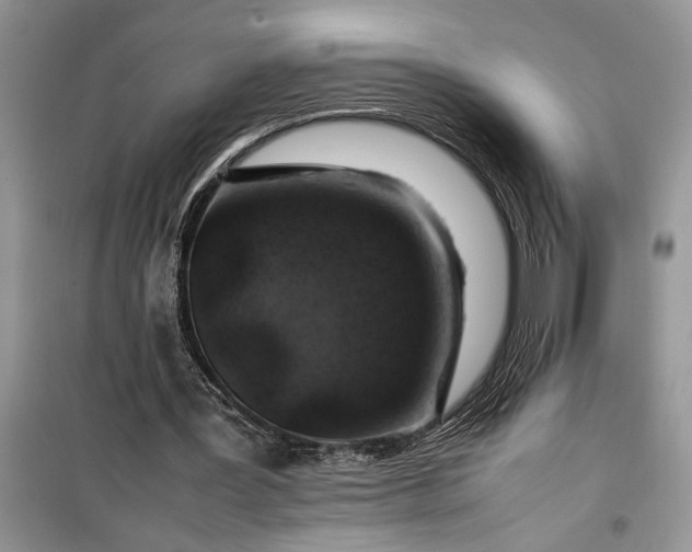 X0000099510387200805291154