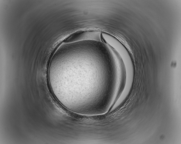 X0000099510389200805291154