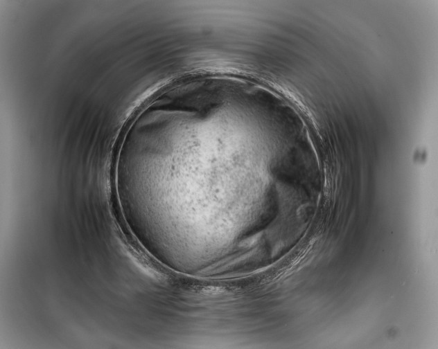 X0000099510390200805291154