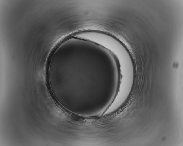 X0000099510391200805291154