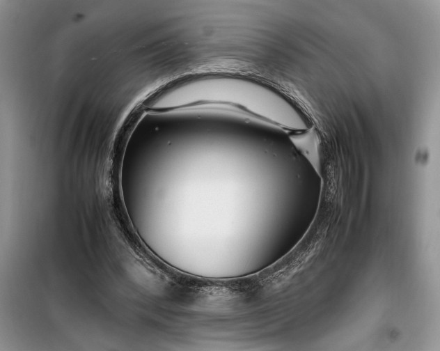 X0000099510392200805291154