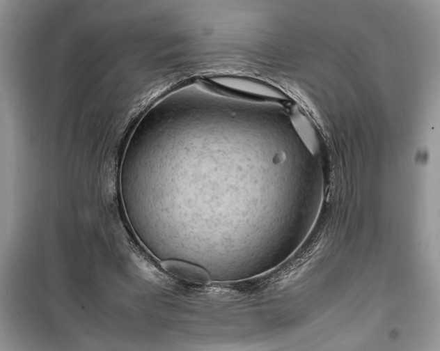 X0000099510393200805291154