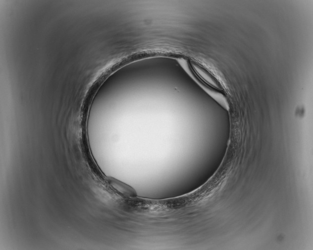 X0000099510395200805291154