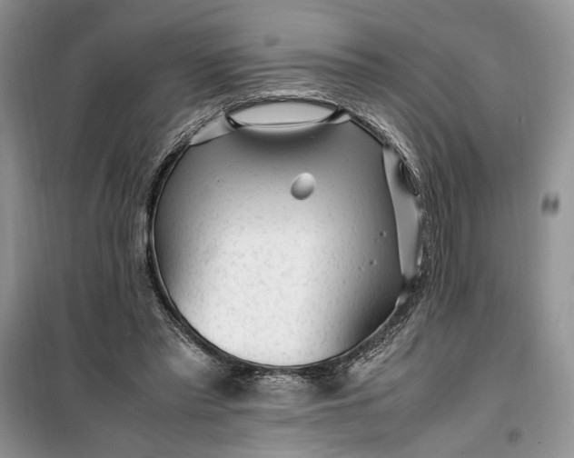 X0000099510397200805291154