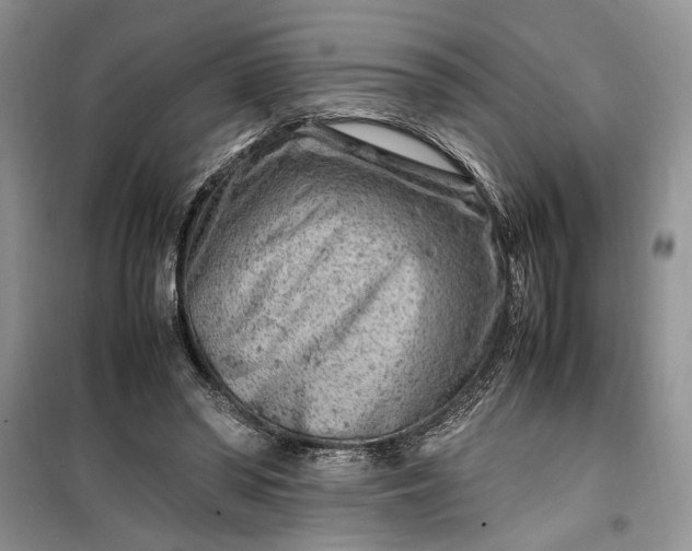 X0000099510398200805291154