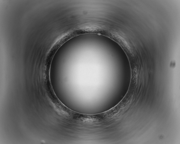 X0000099510400200805291154