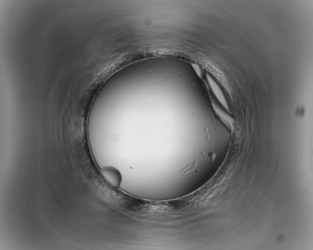 X0000099510401200805291154