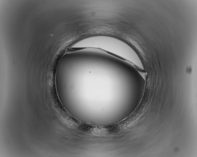 X0000099510403200805291154