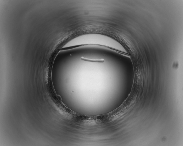 X0000099510404200805291154