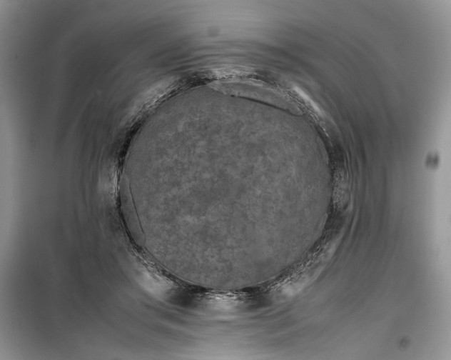 X0000099510405200805291154