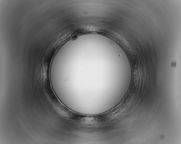 X0000099510406200805291154