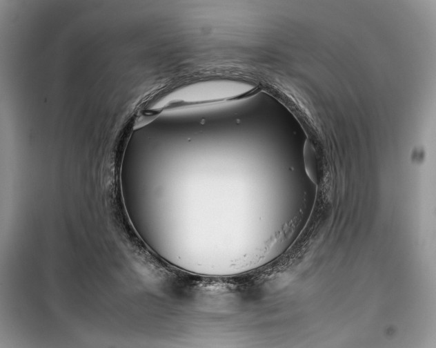 X0000099510407200805291154