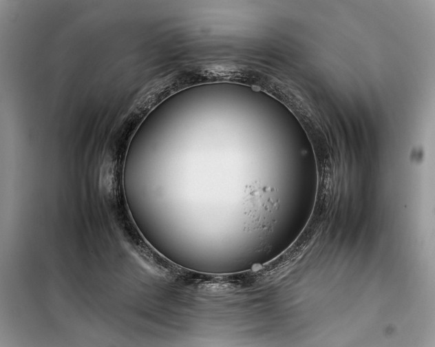 X0000099510408200805291154