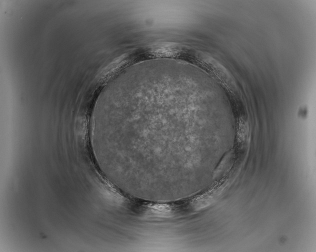 X0000099510409200805291154