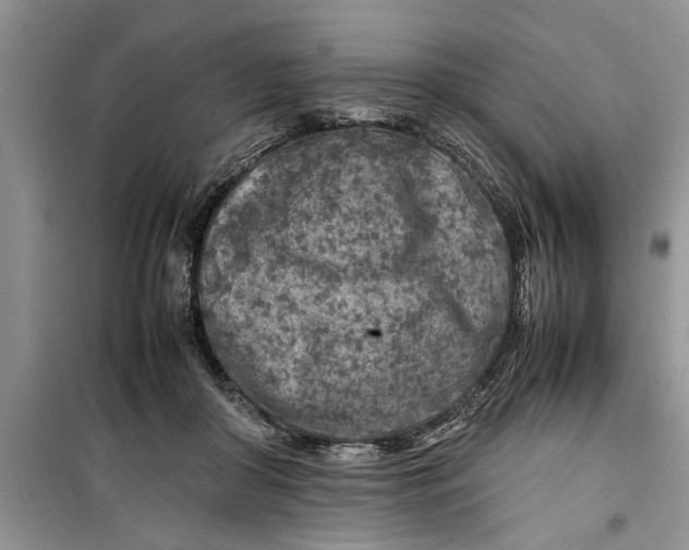 X0000099510410200805291154