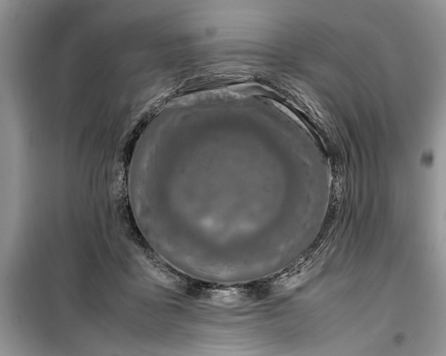 X0000099510411200805291154