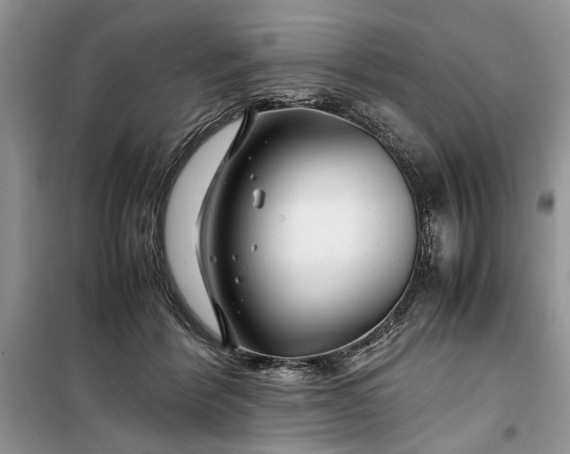 X0000099510412200805291154