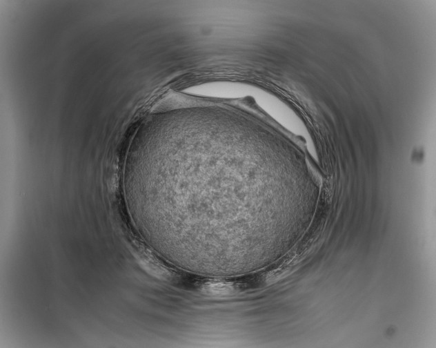 X0000099510413200805291154