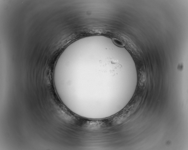 X0000099510414200805291154