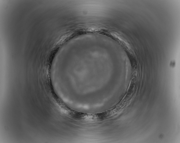 X0000099510415200805291154