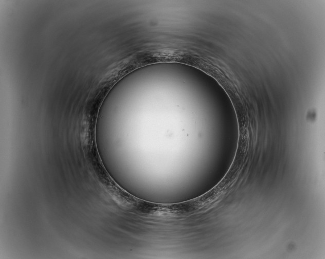 X0000099510416200805291154