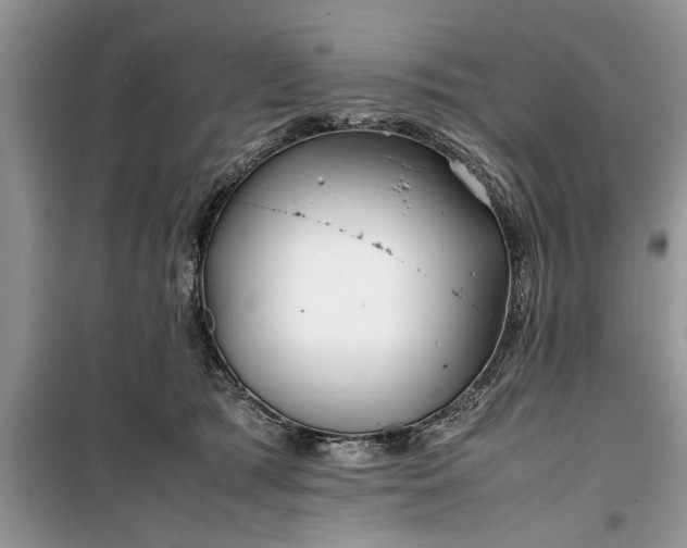 X0000099510417200805291154