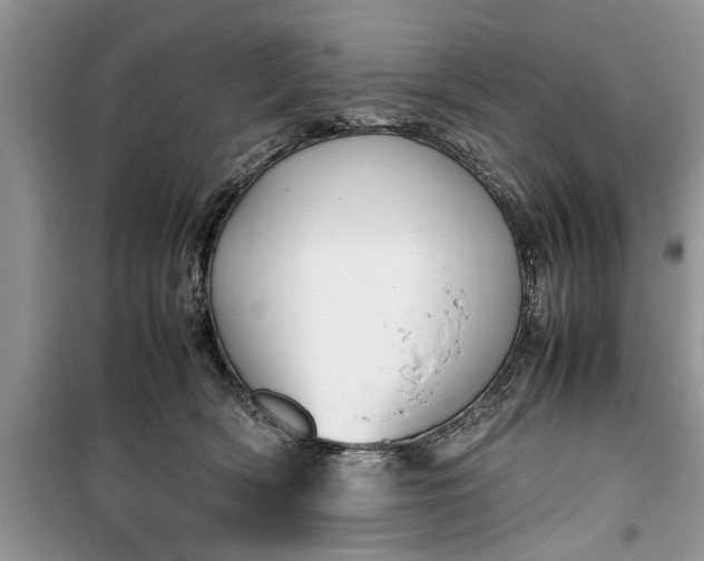 X0000099510418200805291153