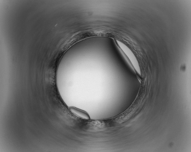 X0000099510421200805291153